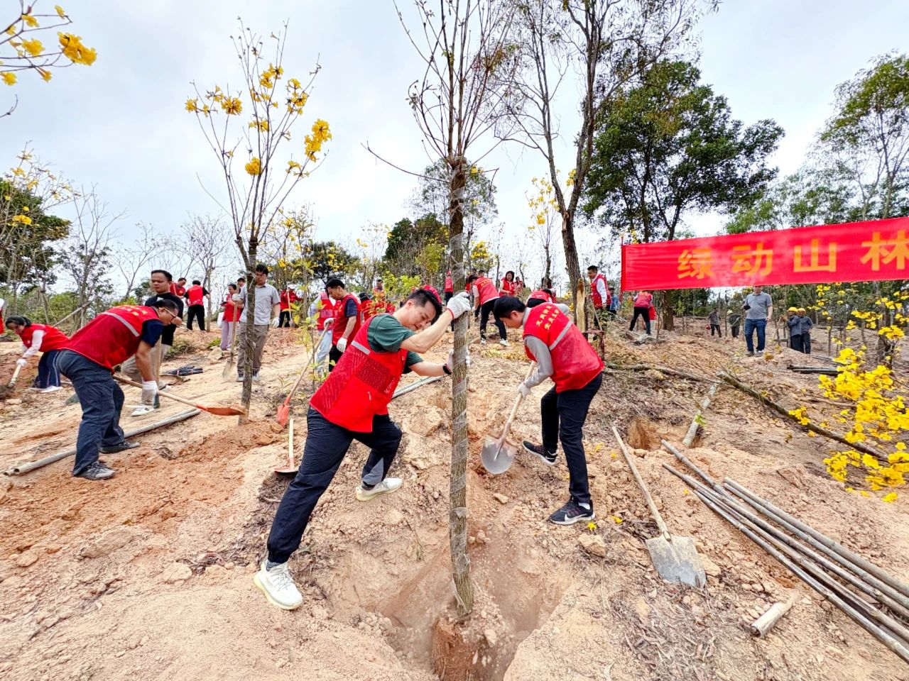 微信图片_20250527135744